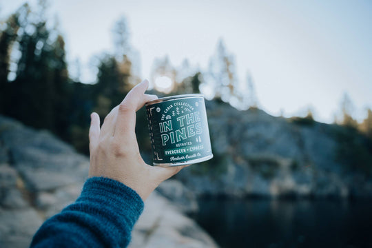 Ambush Candle Co. - In The Pines | Evergreen + Cypress 8oz Soy Candle