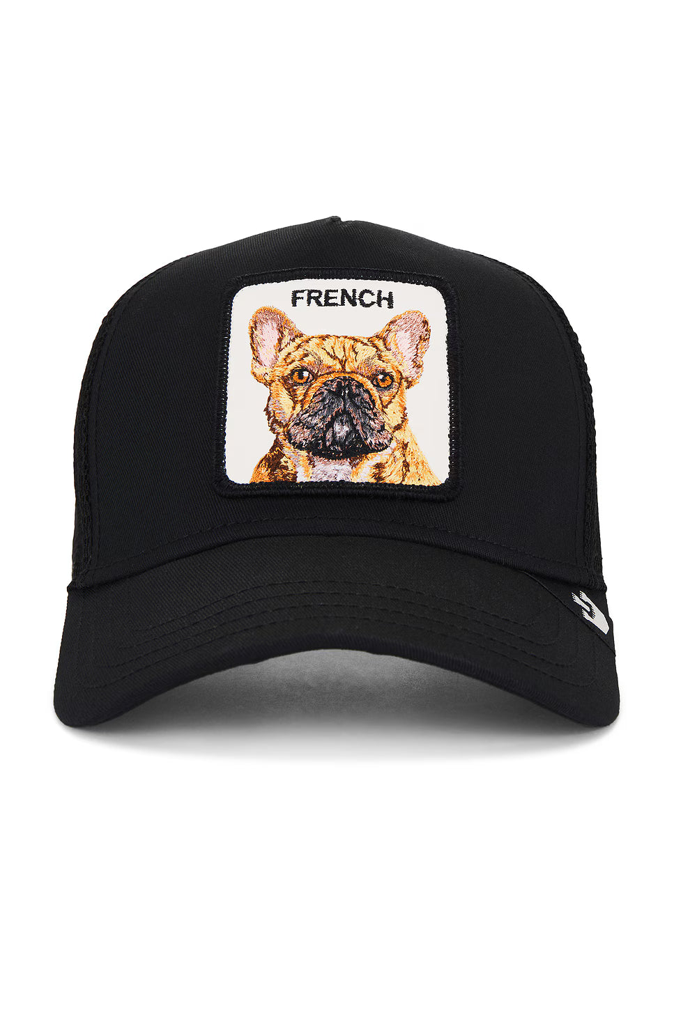 The French Frenchie