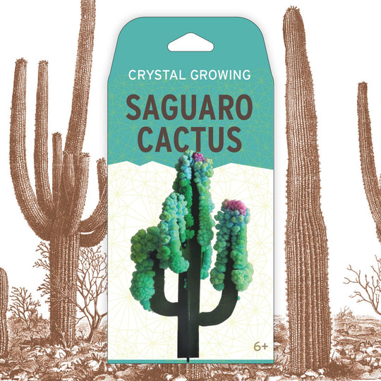 Crystal Growing Saguaro Cactus | Craft Kit Science Kit