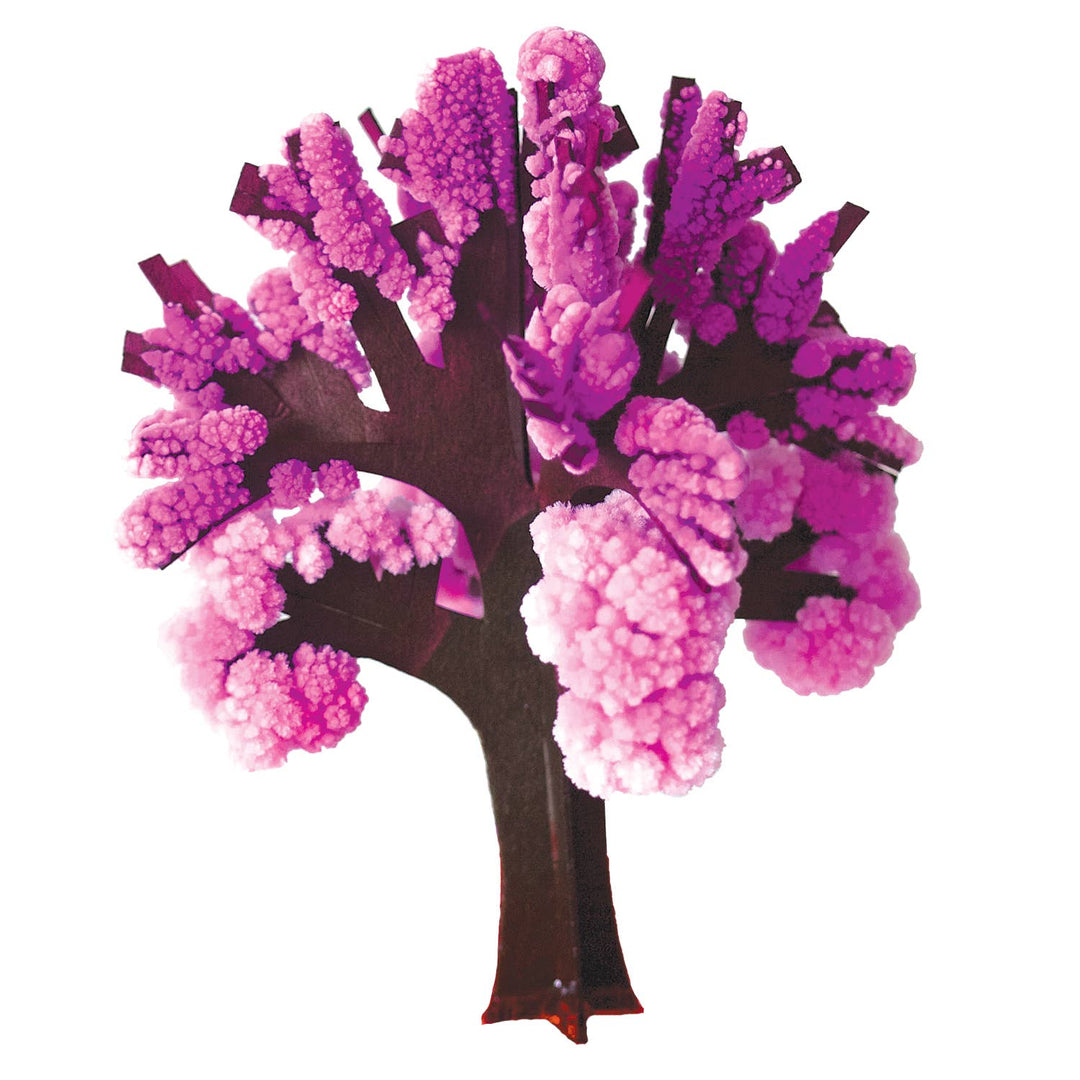Crystal Growing Cherry Tree | Craft Kit Science Kit 