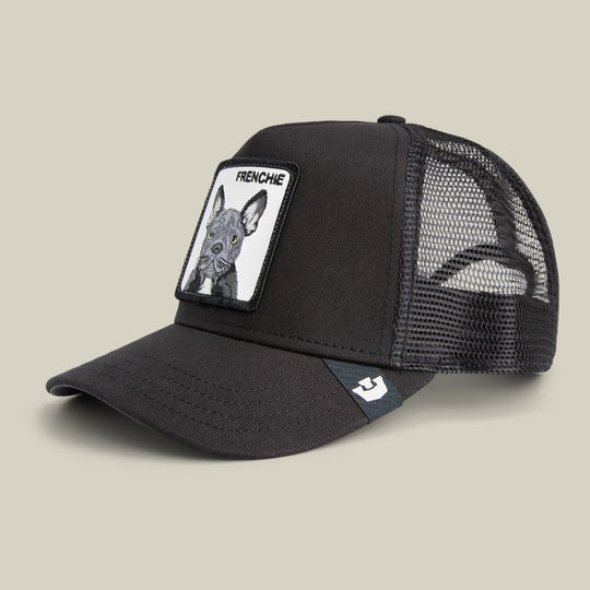 Goorin Bros Frenchie Trucker Mini kids trucker hat in Void, lifestyle