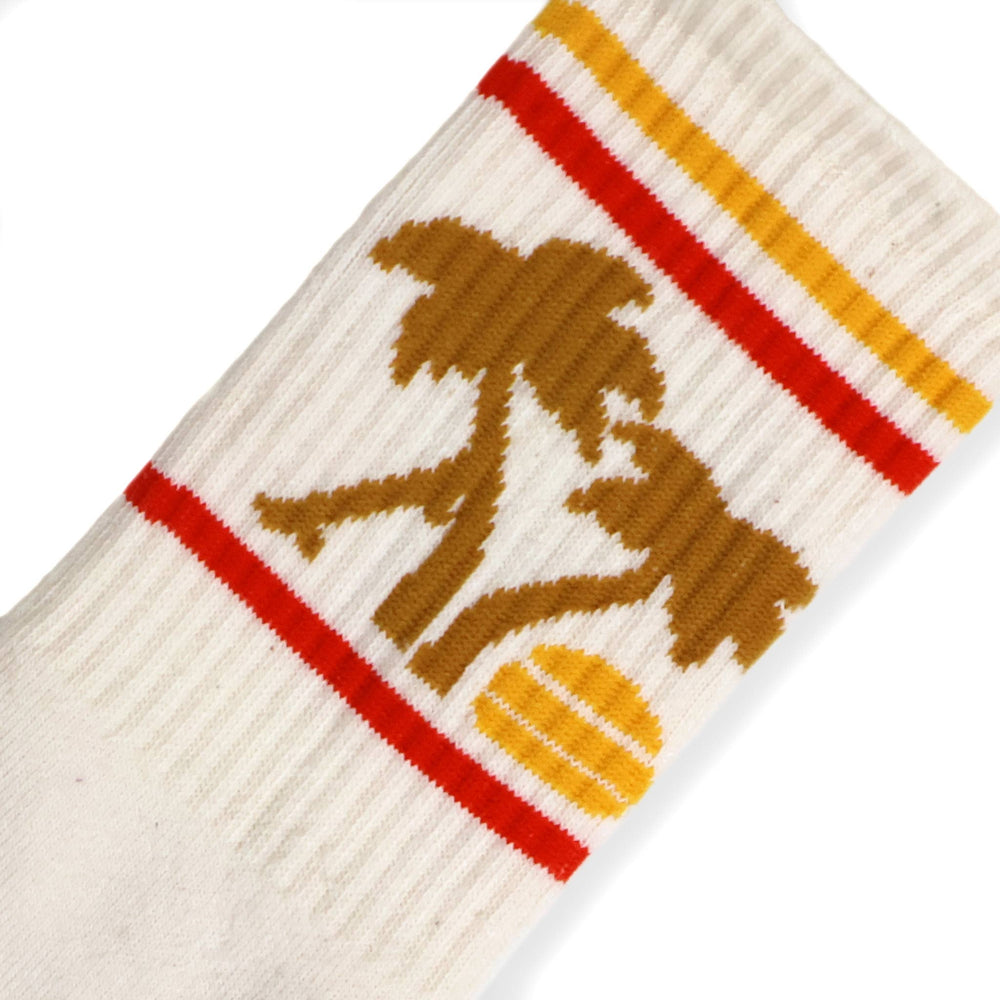 Sierra Prescott Skateboard Summer: L/XL
