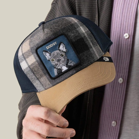 Goorin Bros Brit Frenchie trucker hat in Wax, on model