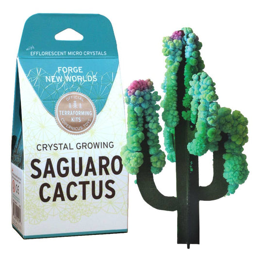 Crystal Growing Saguaro Cactus | Craft Kit Science Kit