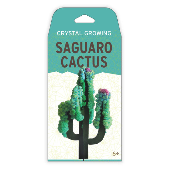 Crystal Growing Saguaro Cactus | Craft Kit Science Kit