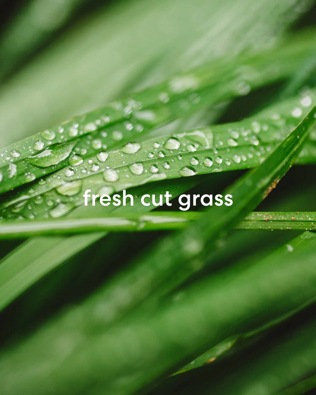 Weekends on the Golf Course