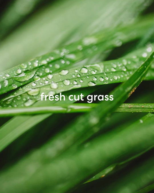 Weekends on the Golf Course