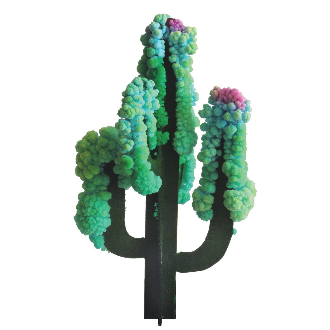 Crystal Growing Saguaro Cactus | Craft Kit Science Kit