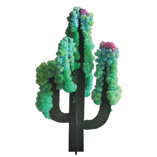 Crystal Growing Saguaro Cactus | Craft Kit Science Kit