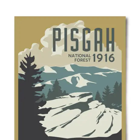 Pisgah National Forest Poster