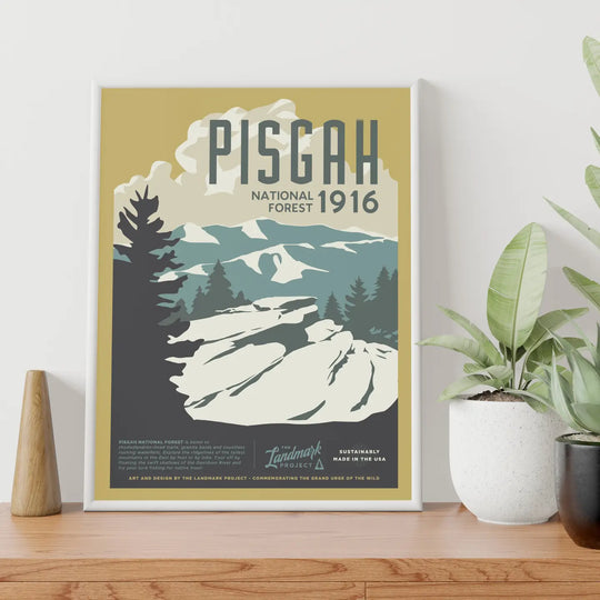 Pisgah National Forest Poster