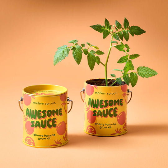 Complimentary Color Grow Kits
