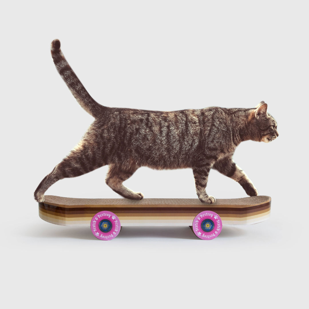 SUCK UK Ltd - USA - Skateboard Cat Scratcher