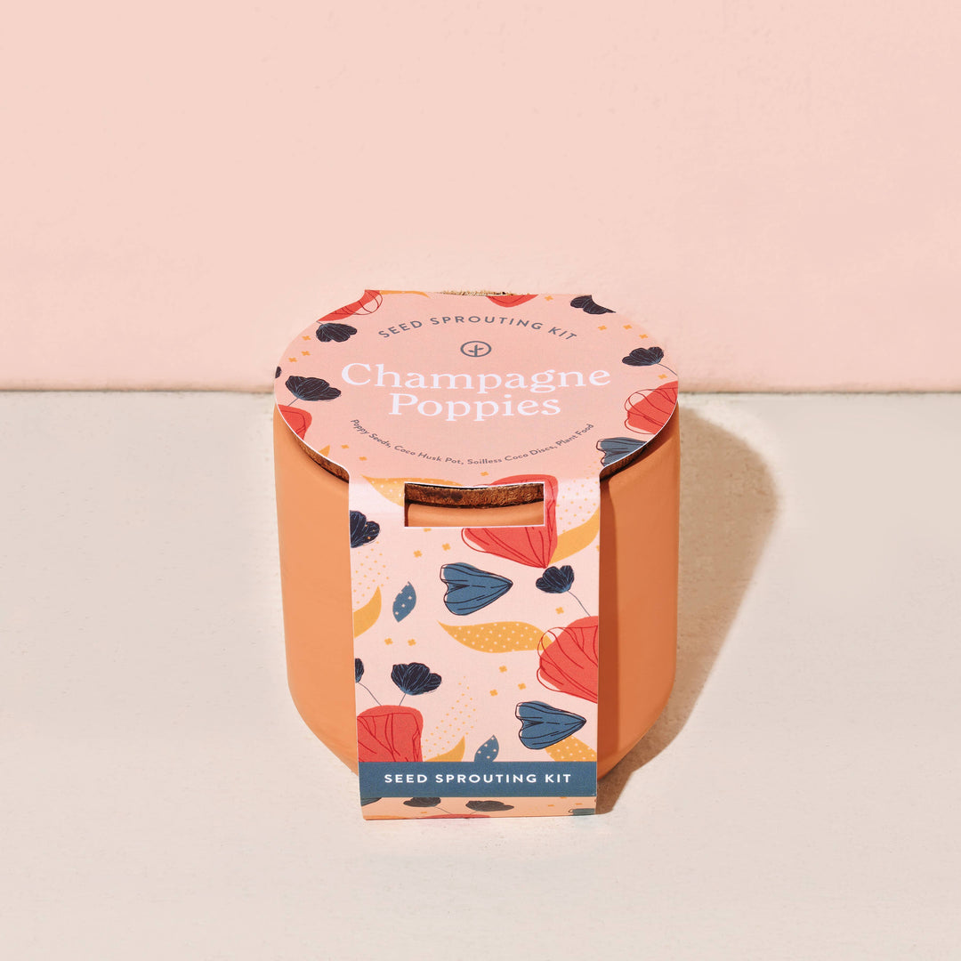 Tiny Terracotta Grow Kits