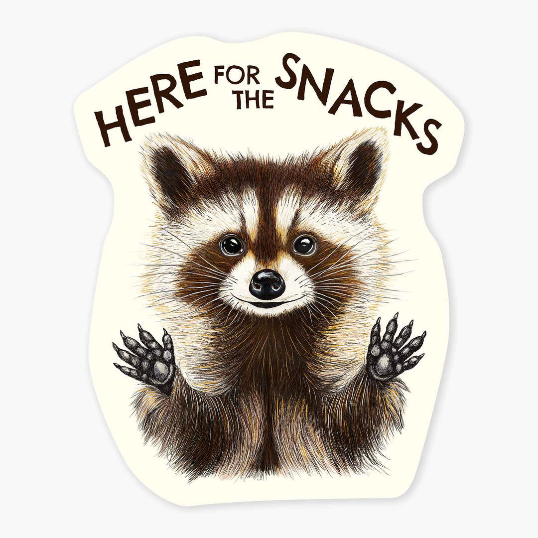 Raccoon Snacks - 3" Art Sticker