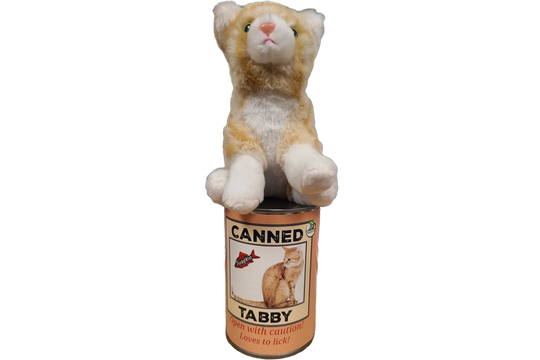 Canned Orange Tabby Cat