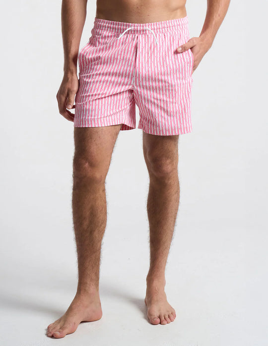 Birddog Swim Shorts