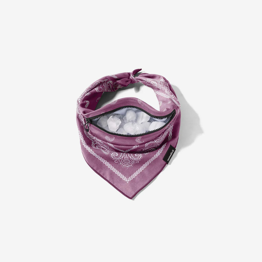 Ice Bandana