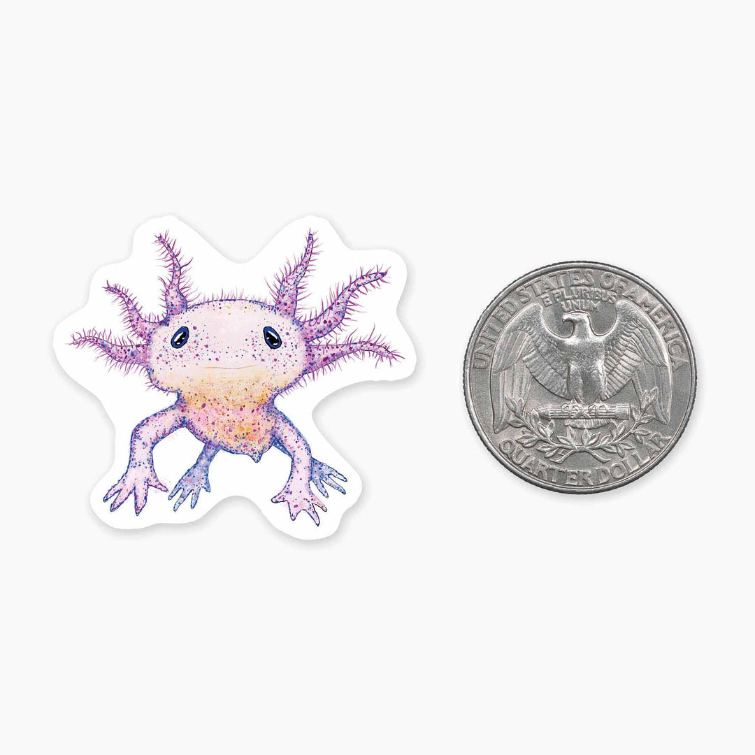 Axolotl - Mini Sticker - Davidson Provision Co.