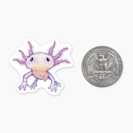 Axolotl - Mini Sticker - Davidson Provision Co.