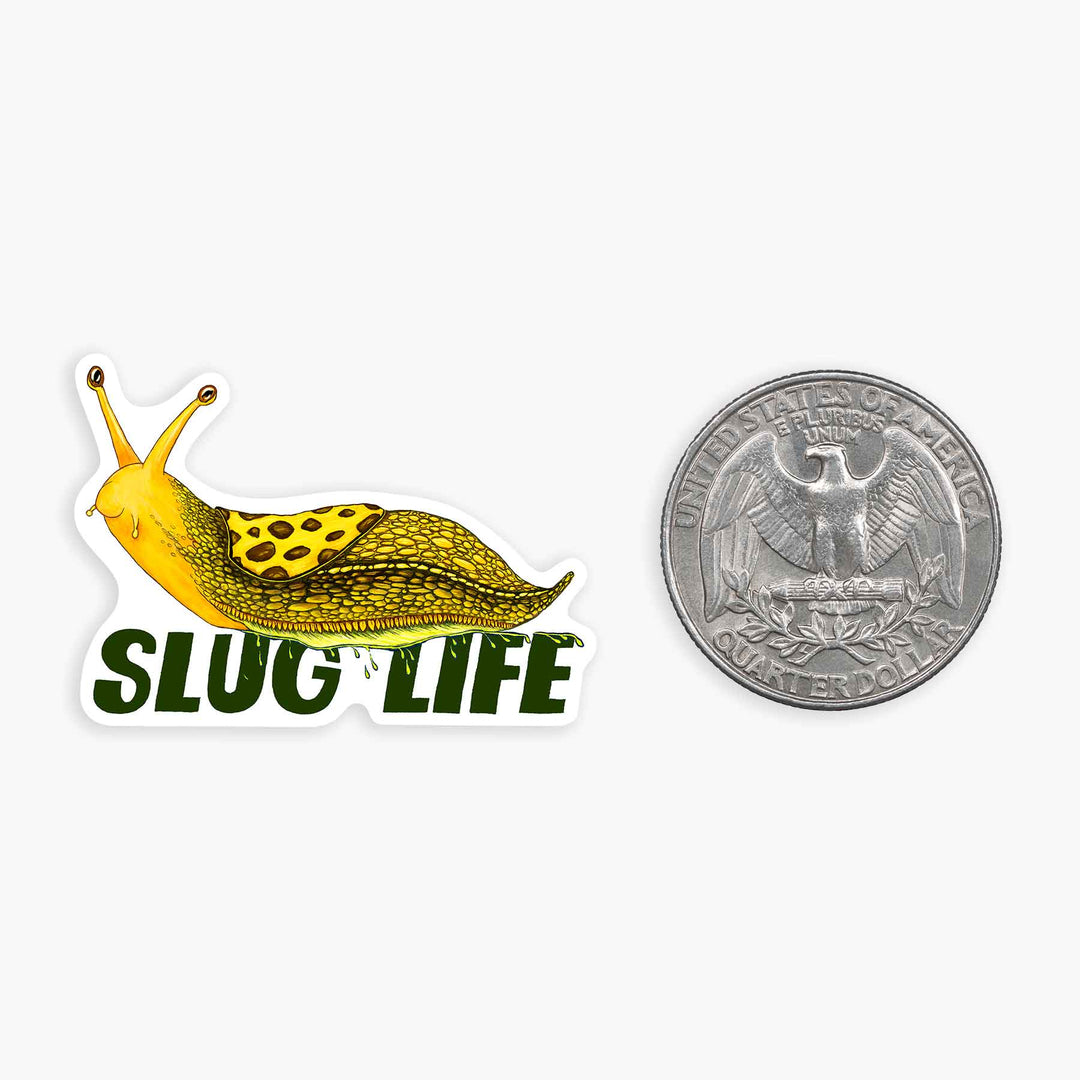 Banana Slug - Mini Sticker