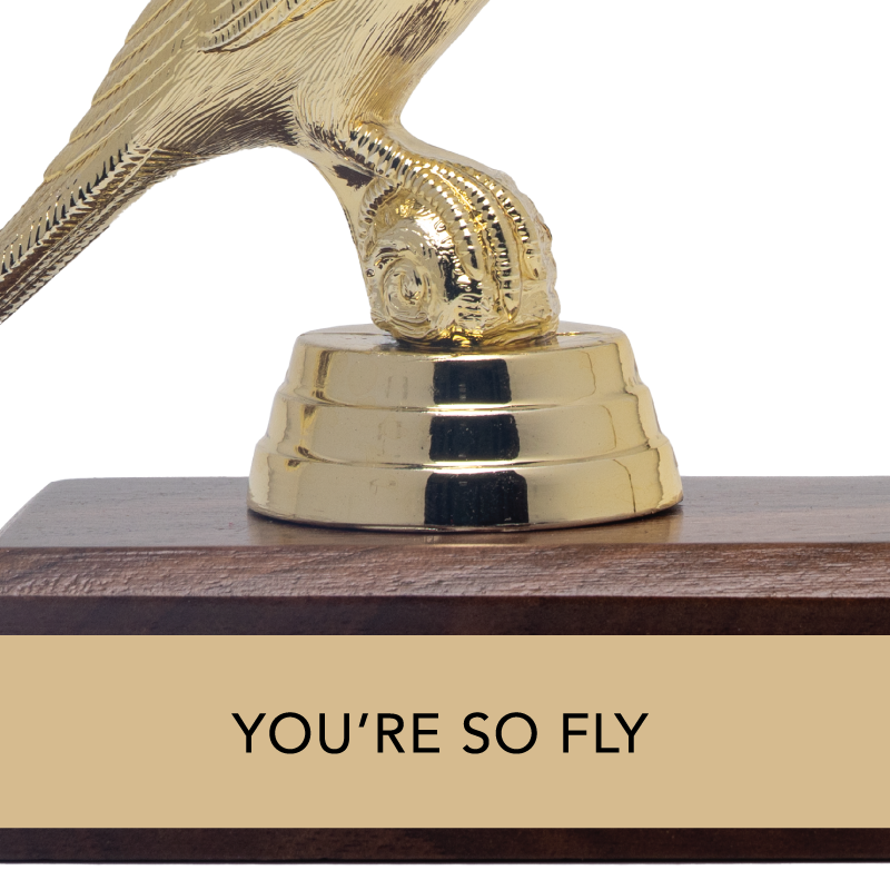 Encouragement Trophy - "YOU'RE SO FLY"