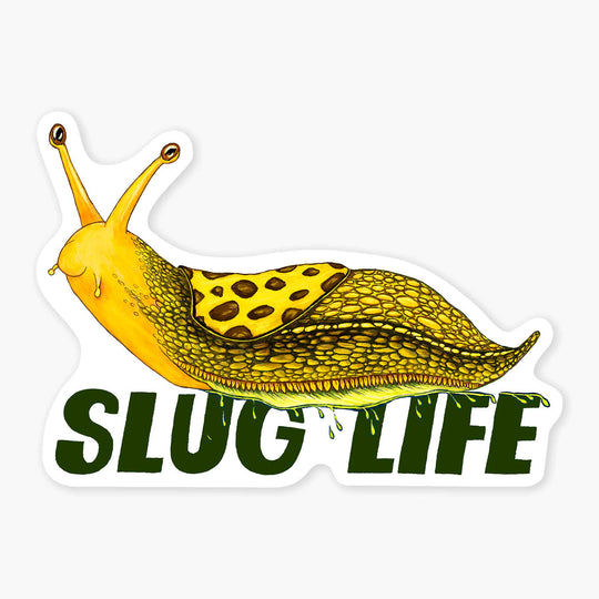 Banana Slug - 3" Art Sticker - Davidson Provision Co.