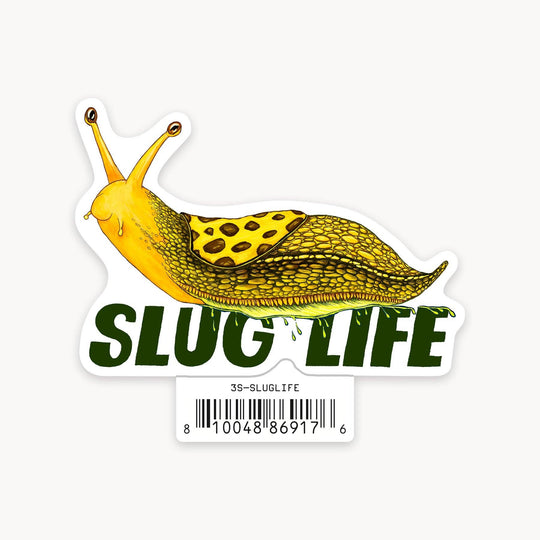 Banana Slug - 3" Art Sticker - Davidson Provision Co.