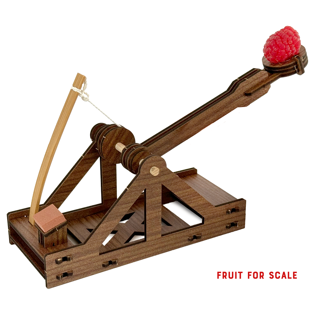 Copernicus Toys - Mini Catapult : Wooden Engineering Model Building Kit