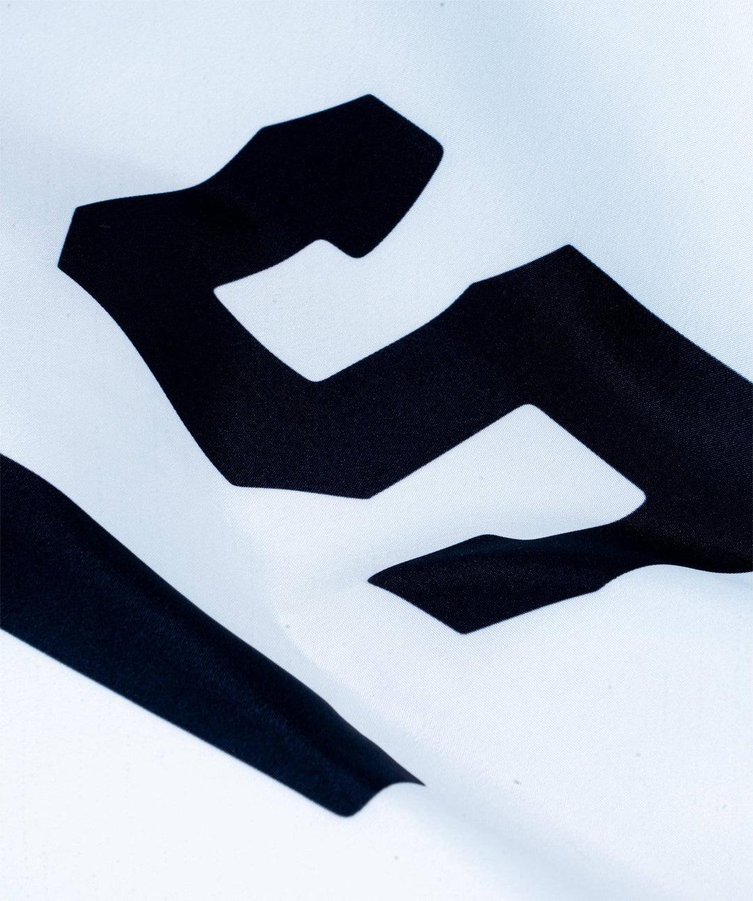 Oxford Pennant - This Must Be The Place Outdoor Flag