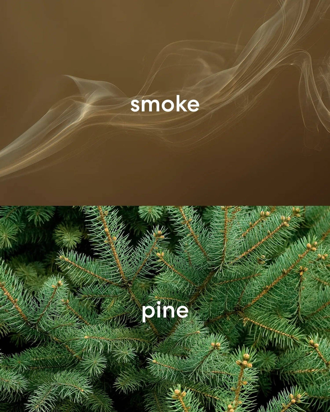 I Have A Cabin Upstate