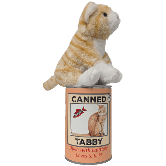 Canned Orange Tabby Cat - Davidson Provision Co.