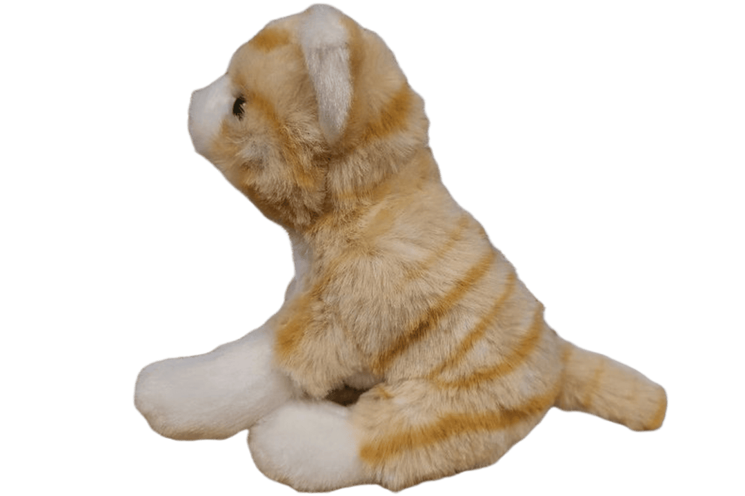 Canned Orange Tabby Cat - Davidson Provision Co.