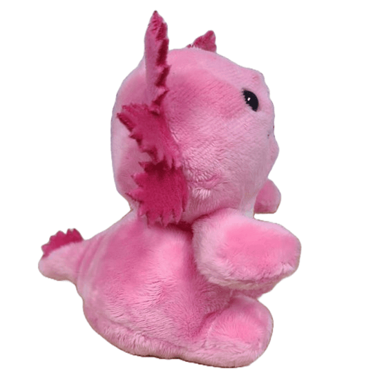 Canned Pink Axolotl - Davidson Provision Co.