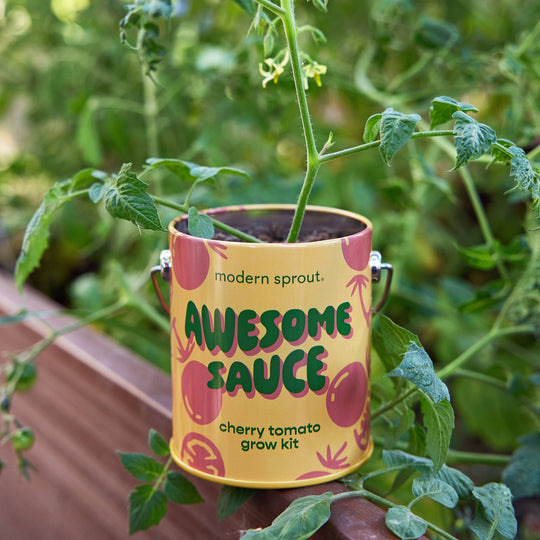 Complimentary Color Grow Kits - Davidson Provision Co.