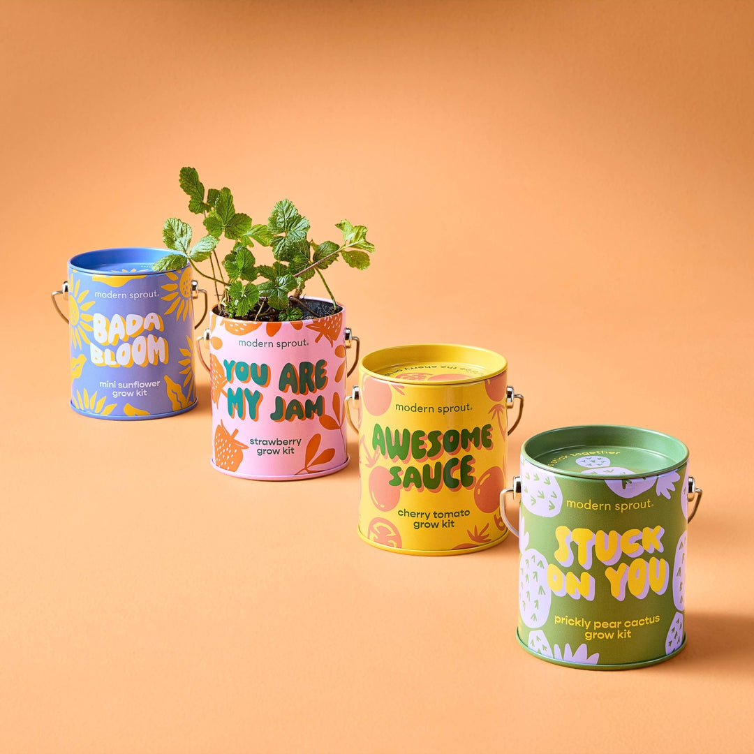 Complimentary Color Grow Kits - Davidson Provision Co.