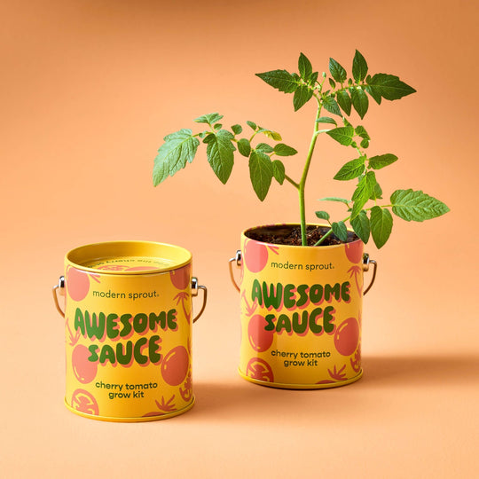 Complimentary Color Grow Kits - Davidson Provision Co.
