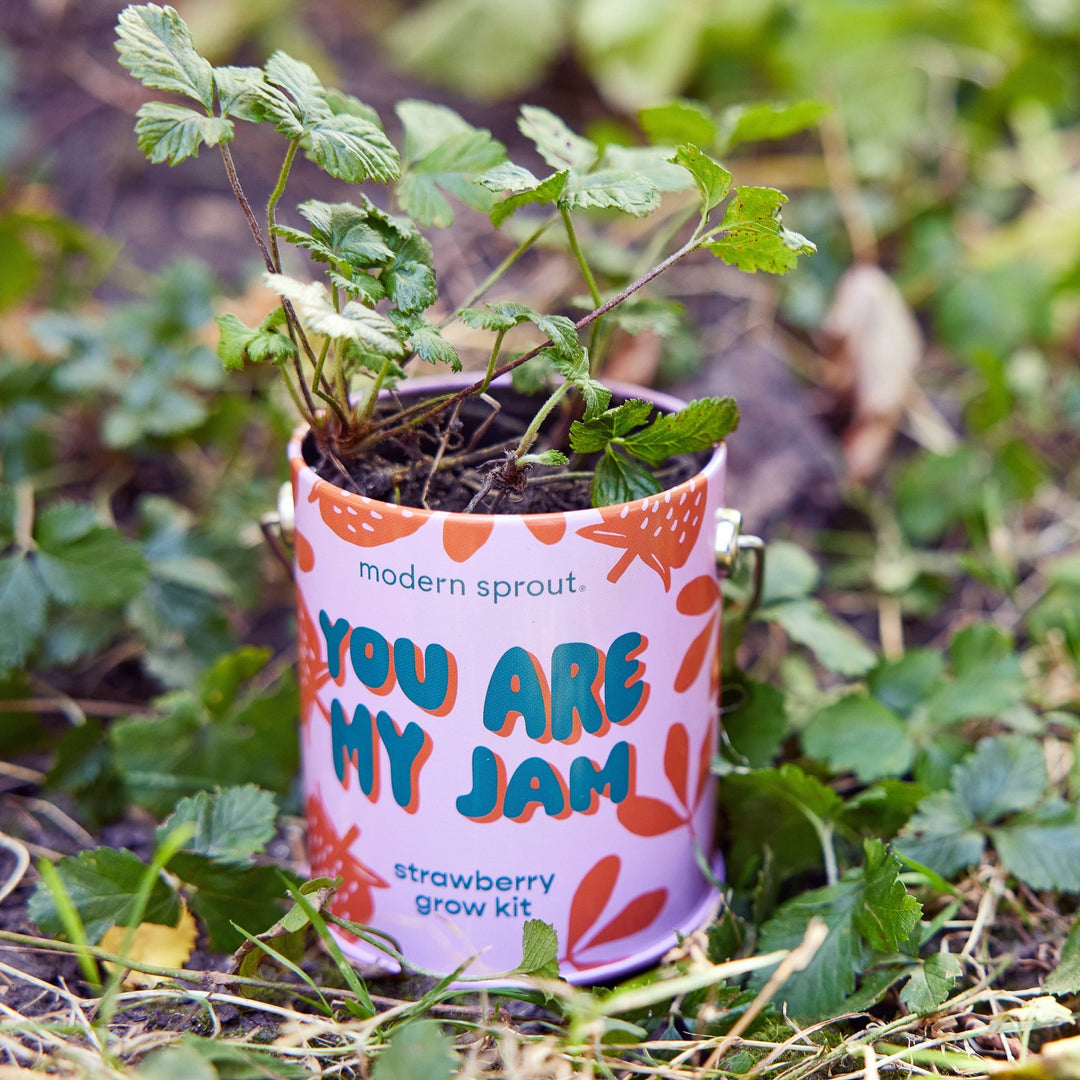 Complimentary Color Grow Kits - Davidson Provision Co.