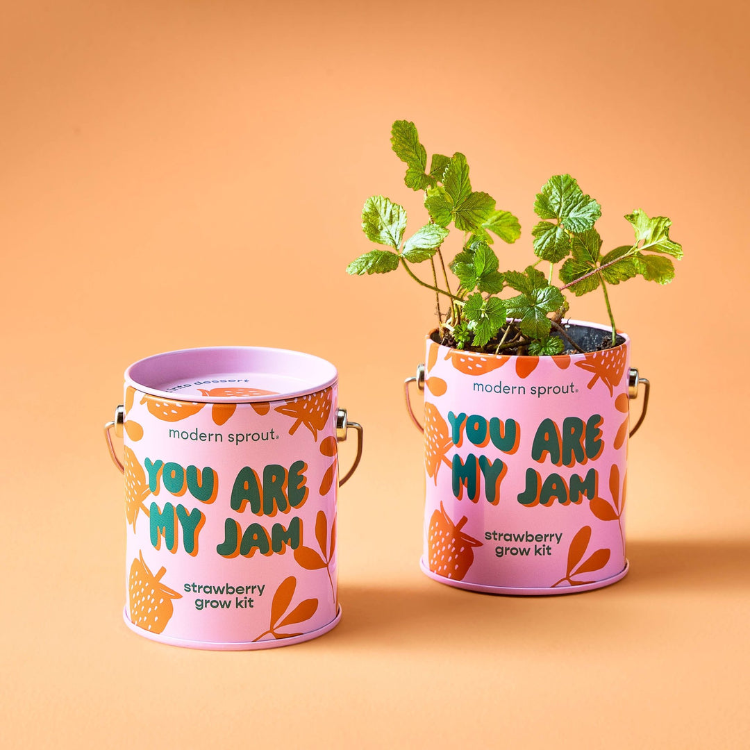 Complimentary Color Grow Kits - Davidson Provision Co.
