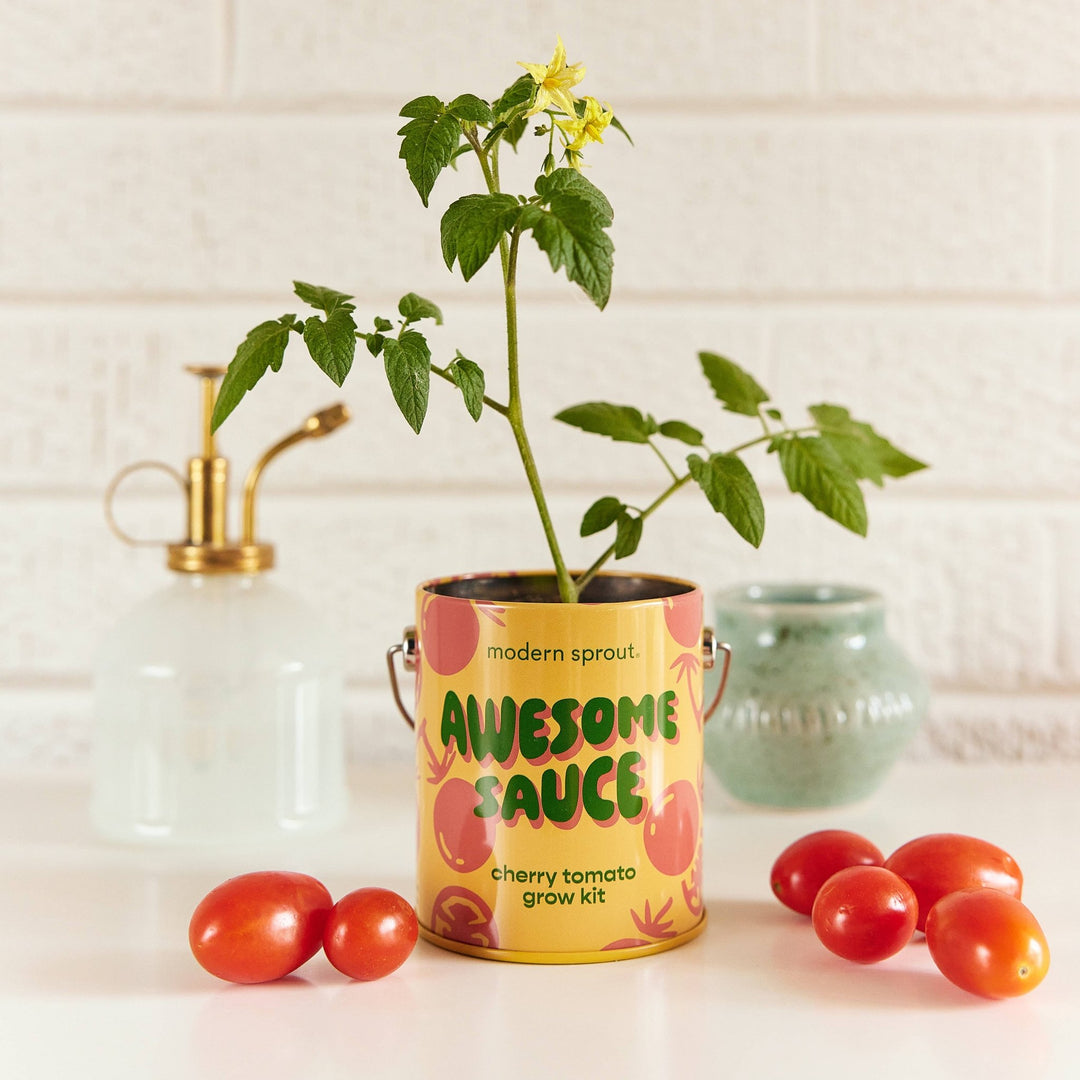 Complimentary Color Grow Kits - Davidson Provision Co.