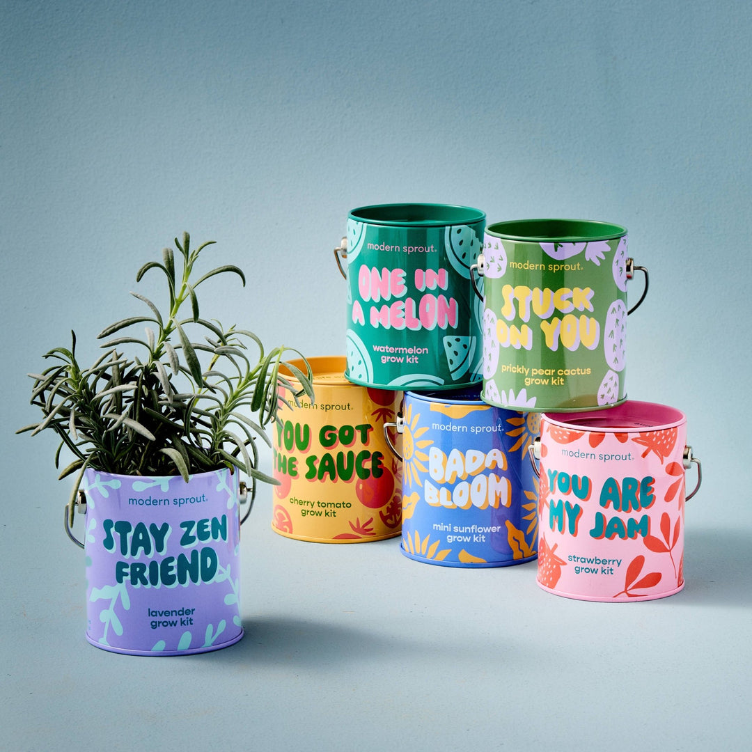 Complimentary Color Grow Kits - Davidson Provision Co.