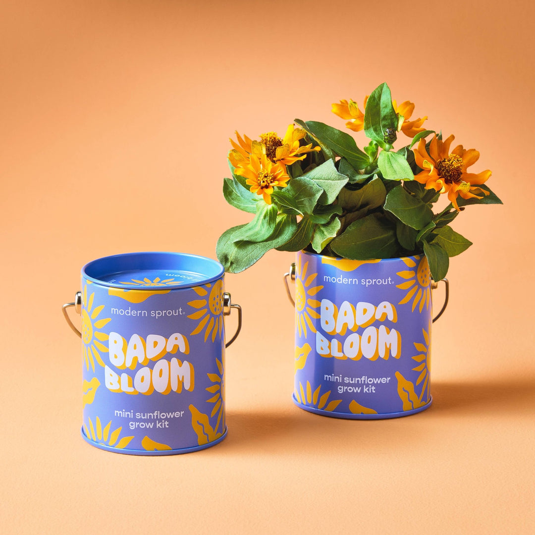Complimentary Color Grow Kits - Davidson Provision Co.