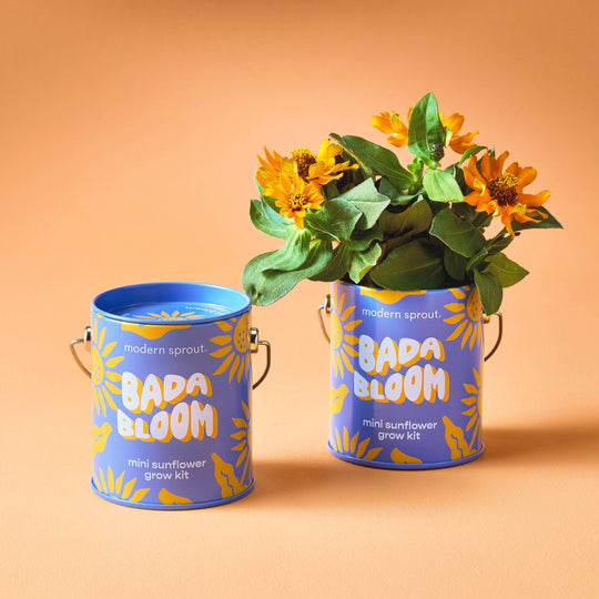 Complimentary Color Grow Kits - Davidson Provision Co.