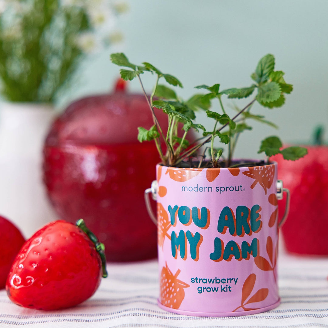 Complimentary Color Grow Kits - Davidson Provision Co.