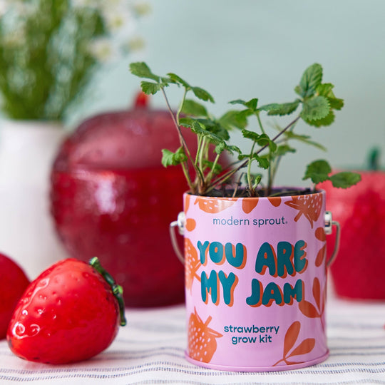 Complimentary Color Grow Kits - Davidson Provision Co.