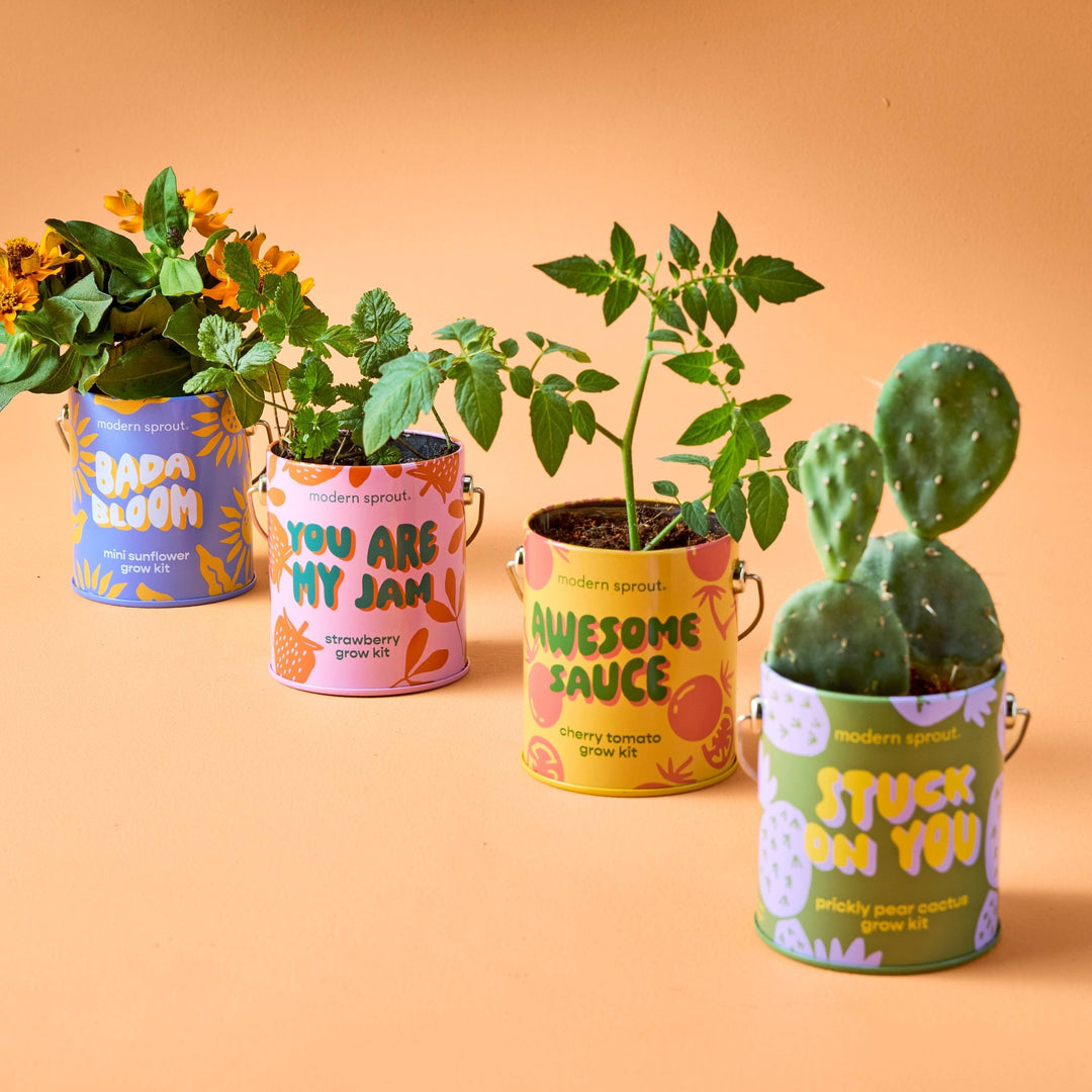 Complimentary Color Grow Kits - Davidson Provision Co.