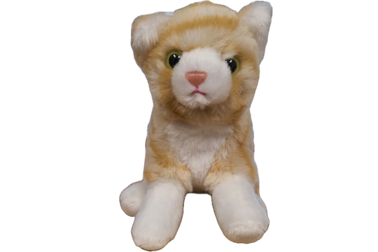 Canned Orange Tabby Cat