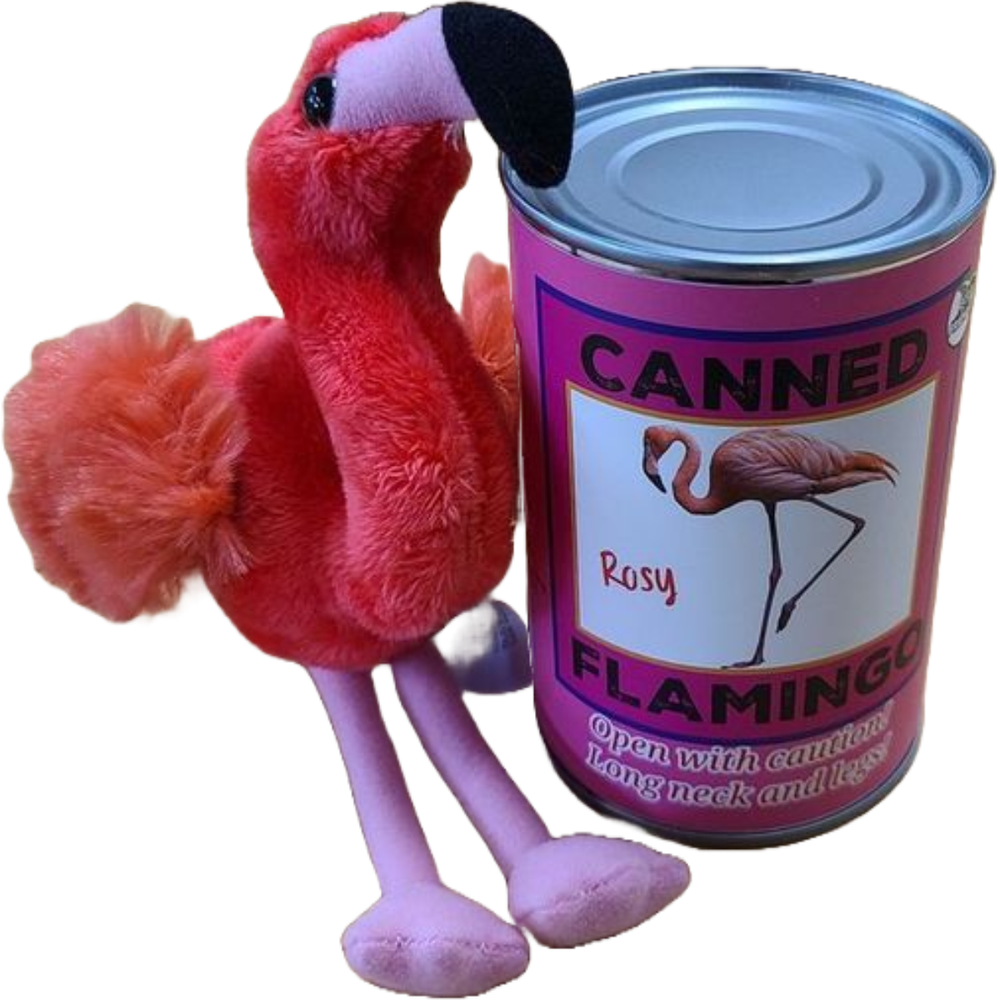 Rosy the Canned Flamingo