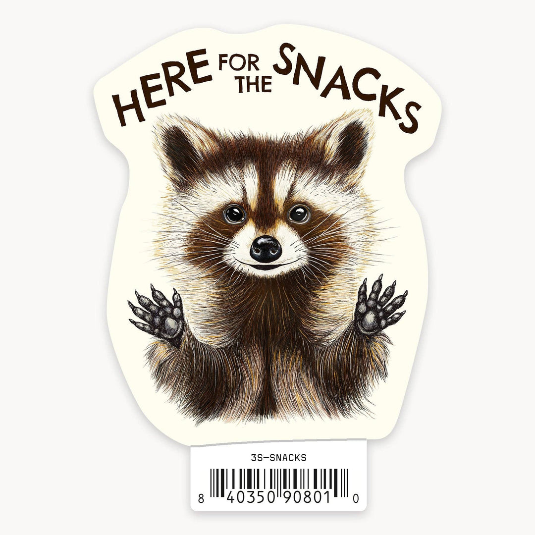 Raccoon Snacks - 3" Art Sticker