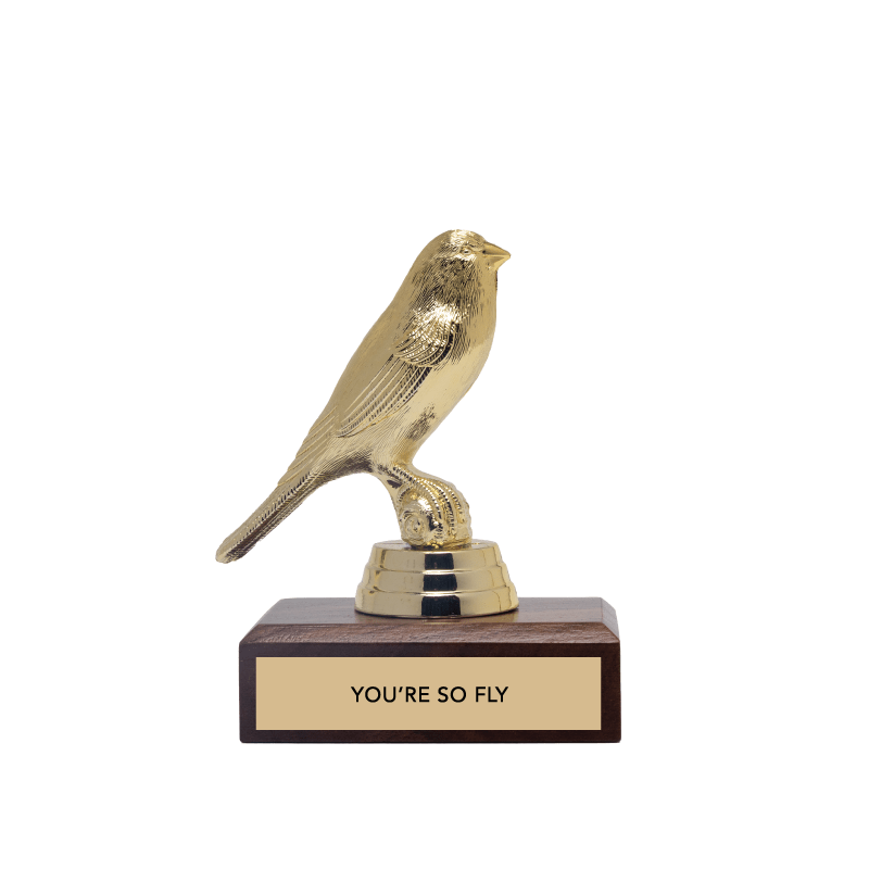 Encouragement Trophy - "YOU'RE SO FLY" - Davidson Provision Co.